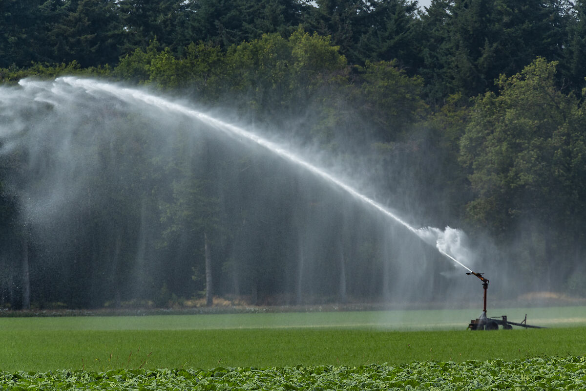 China Customized Rain Gun Sprinkler Hose Reels Irrigator