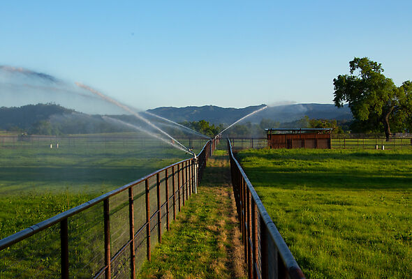 Equine paddock irrigation system
