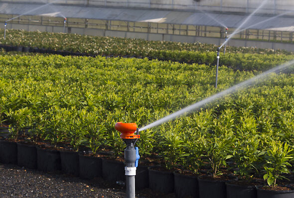 Nelson R33 Sprinkler system irrigating a nursery container yard