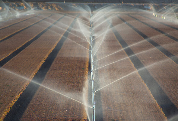 Kaliforniya’da alüminyum boru üzerinde R2000WF Rotator Sprinklerler.