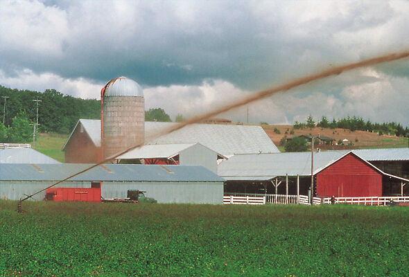 Nelson Big Gun irrigating with farm wastewater