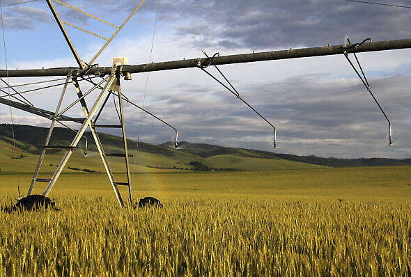 Using irrigation booms to solve wheel tracks and irrigation run off issues
