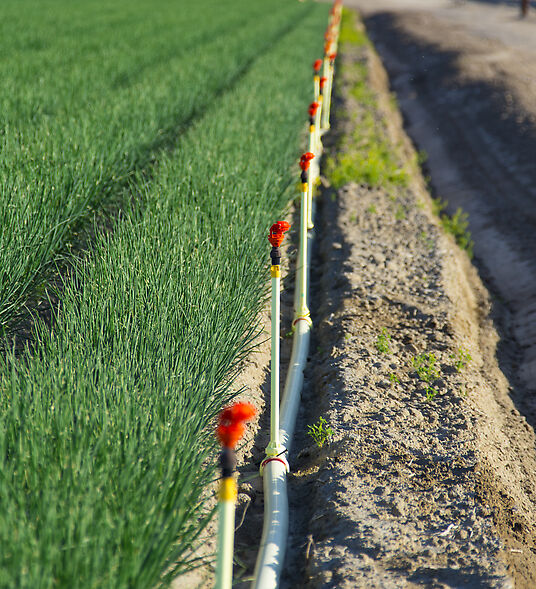 Nelson Sprinklers and road protection guards in a California Onion Field